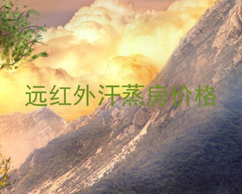 远红外汗蒸房价格