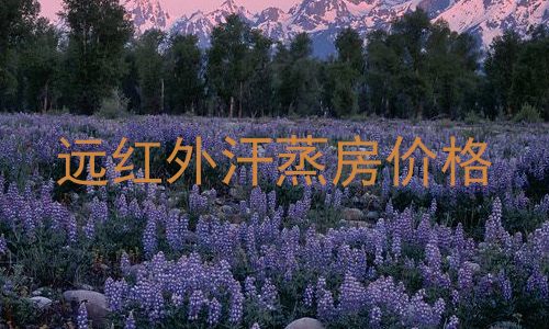 远红外汗蒸房价格