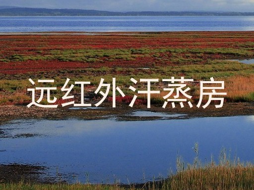 远红外汗蒸房