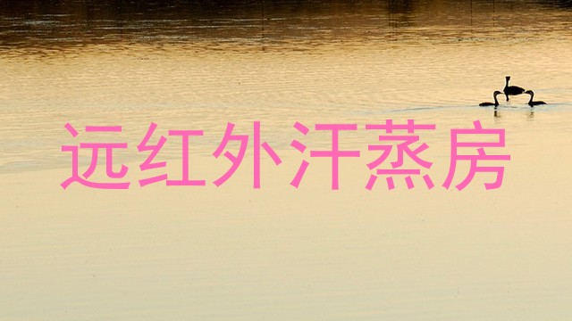远红外汗蒸房