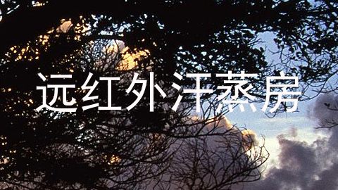 远红外汗蒸房