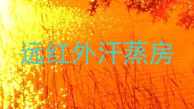 远红外汗蒸房