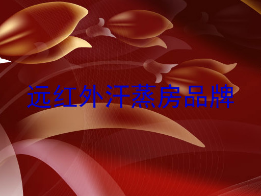 远红外汗蒸房品牌