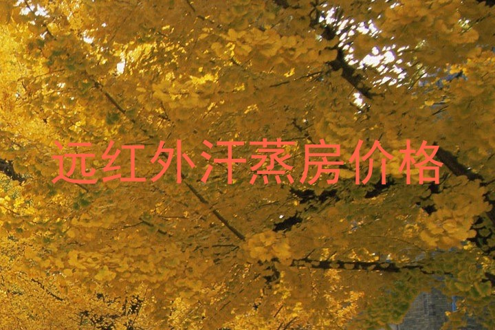 远红外汗蒸房价格