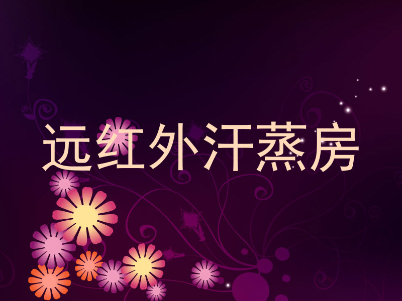 远红外汗蒸房