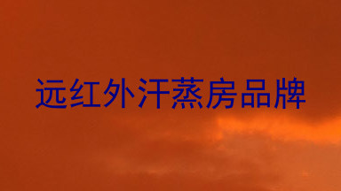 远红外汗蒸房品牌
