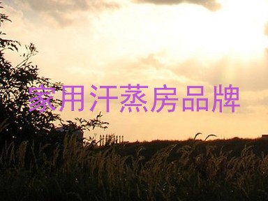 家用汗蒸房品牌