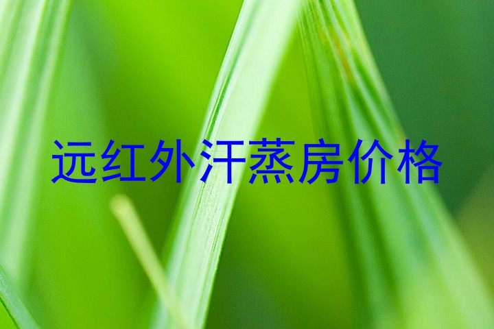 远红外汗蒸房价格