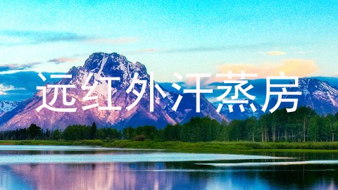 远红外汗蒸房
