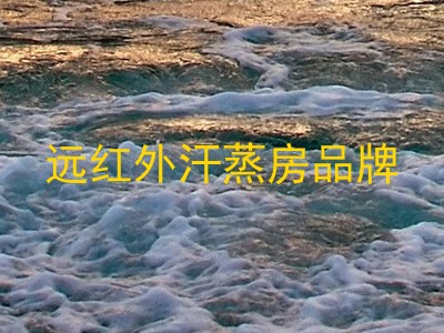 远红外汗蒸房品牌