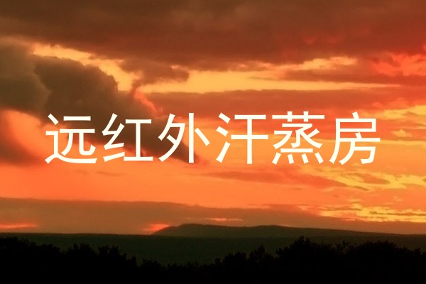 远红外汗蒸房