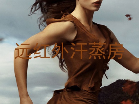 远红外汗蒸房