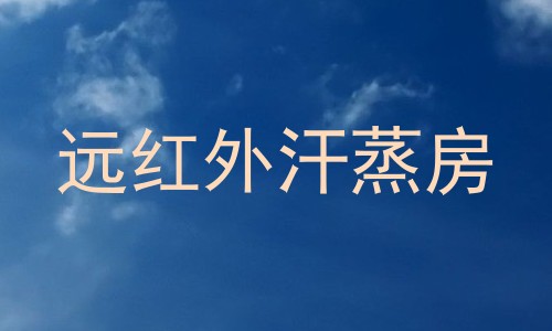 远红外汗蒸房