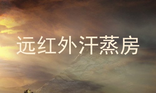 远红外汗蒸房