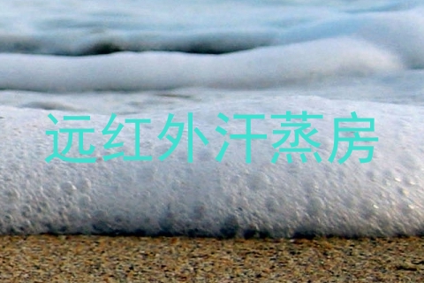远红外汗蒸房