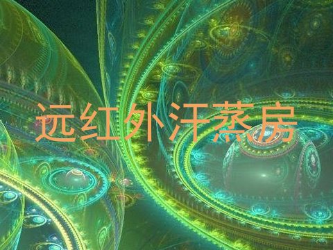 远红外汗蒸房