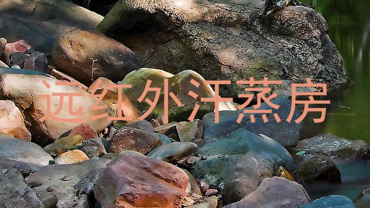 远红外汗蒸房