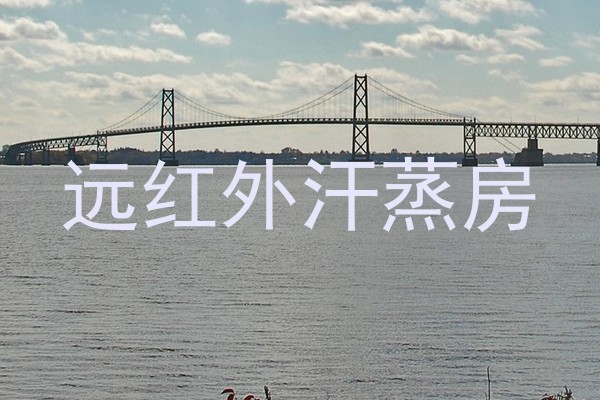 远红外汗蒸房
