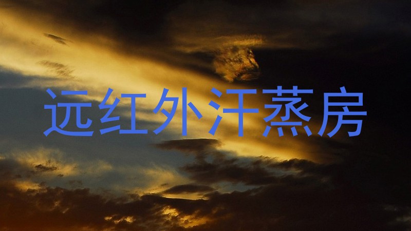 远红外汗蒸房
