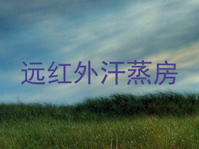 远红外汗蒸房