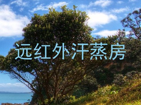 远红外汗蒸房