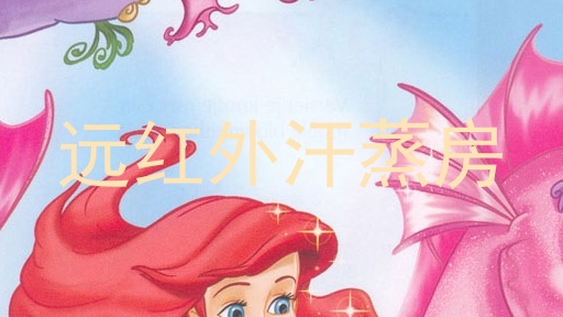远红外汗蒸房