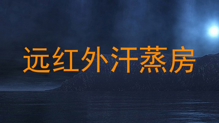 远红外汗蒸房