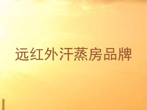 远红外汗蒸房品牌