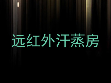 远红外汗蒸房