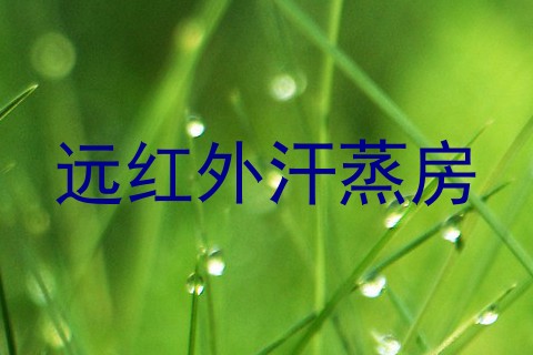 远红外汗蒸房