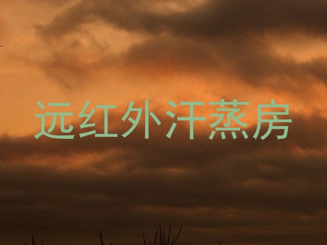 远红外汗蒸房