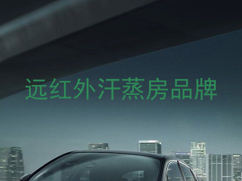 远红外汗蒸房品牌