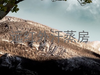 远红外汗蒸房