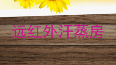 远红外汗蒸房