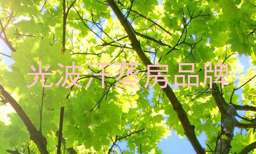 光波汗蒸房品牌