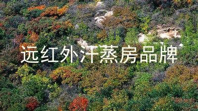 远红外汗蒸房品牌