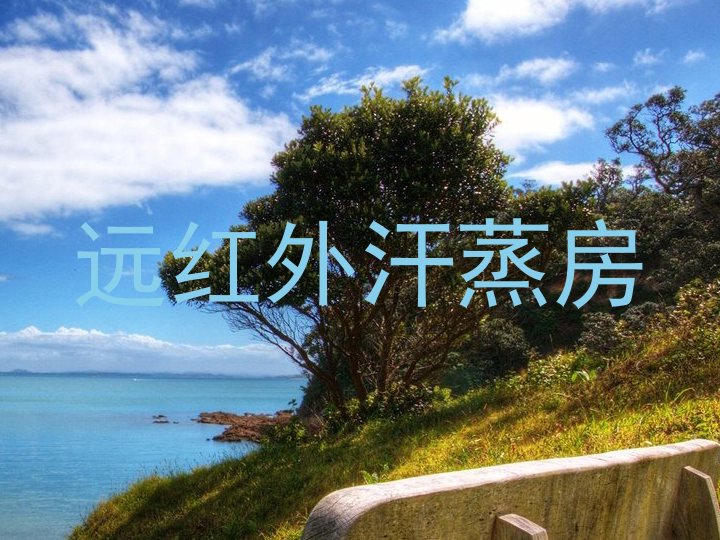 远红外汗蒸房