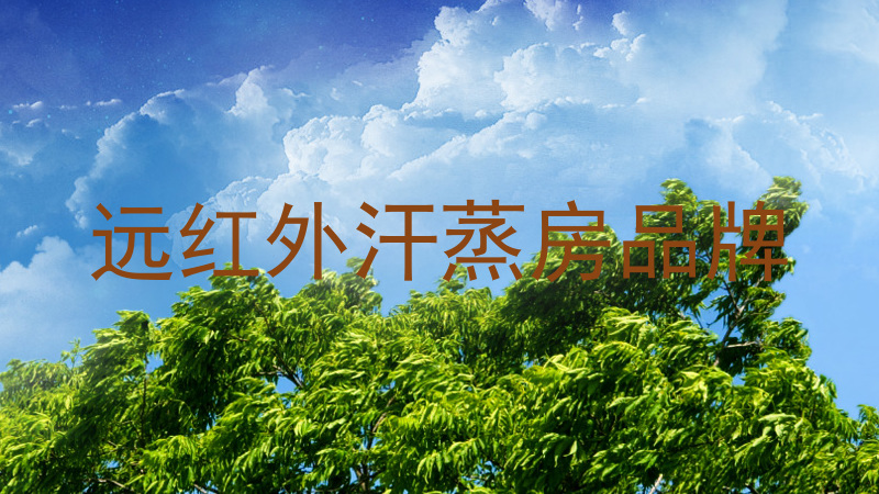 远红外汗蒸房品牌