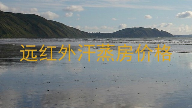 远红外汗蒸房价格