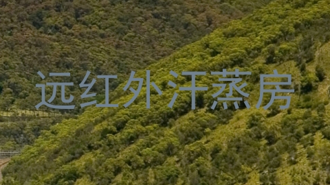 远红外汗蒸房