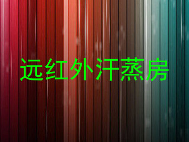 远红外汗蒸房
