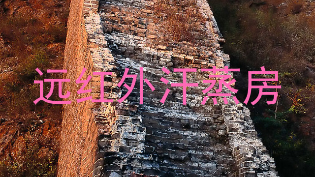 远红外汗蒸房