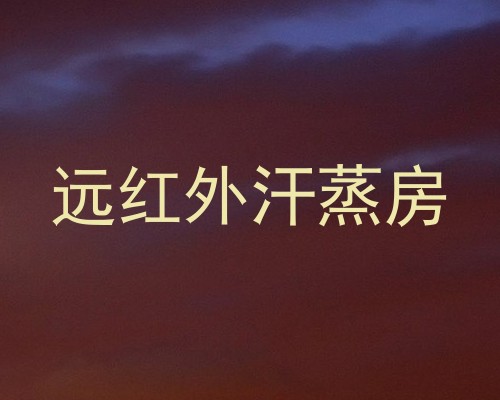 远红外汗蒸房