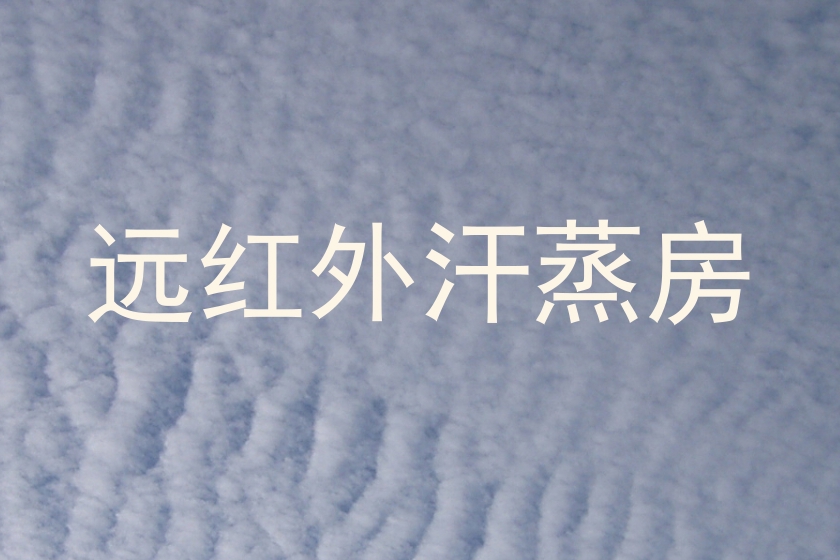远红外汗蒸房