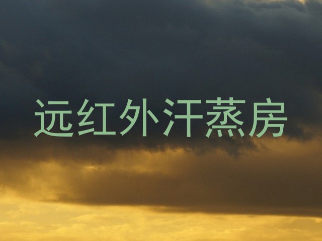 远红外汗蒸房