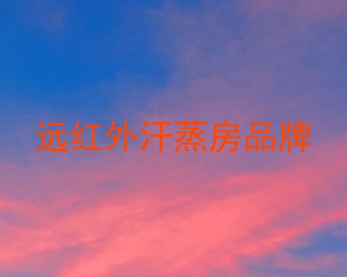 远红外汗蒸房品牌