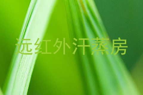 远红外汗蒸房