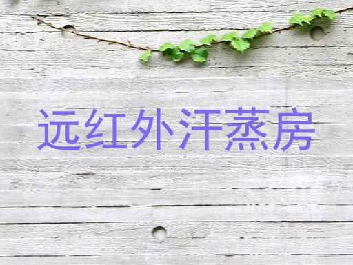 远红外汗蒸房