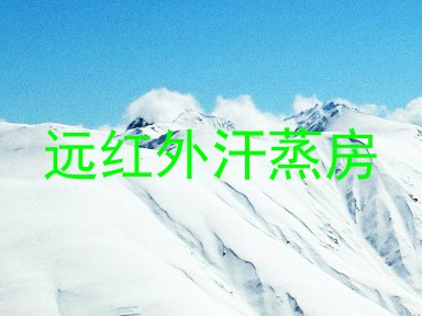 远红外汗蒸房