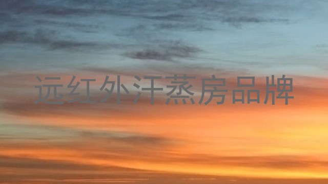 远红外汗蒸房品牌